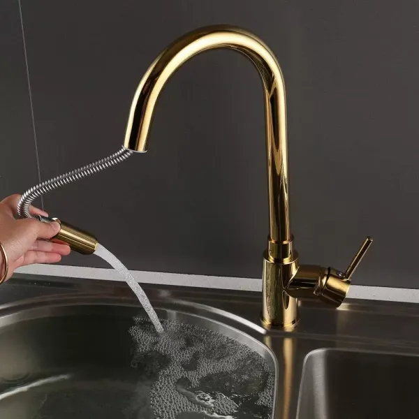Wasserhahn Einhand, Küche Armatur Spültischarmatur mit Herausziehbarer Schlauchbrause