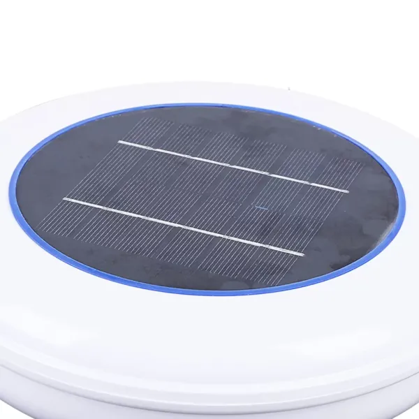 Solar Pool Ionisator, Silber Ionen Schwimmbad Reiniger Wasserreinigung mit Reinigungsbürste
