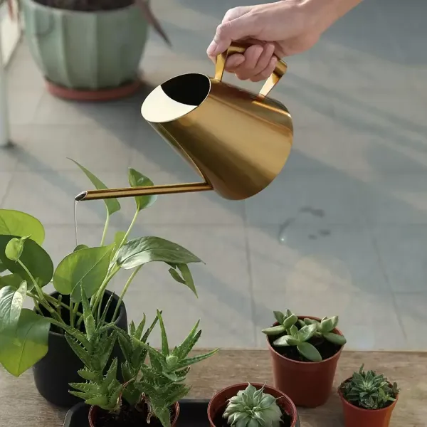 900 ml Edelstahl-Gießkanne mit Feiner Düse Gartenpflanze Blumenwerkzeuge Heimpflanze Gießkanne Ideal für Hausgarten Balkon