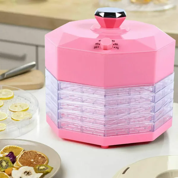 5 Etagen Dörrgerät Gastro Obsttrockner Dörrautomat Dörrer Trockner 5 Etagen Dörrgerät Gastro Obsttrockner Dörrautomat Dörrer Trockner
