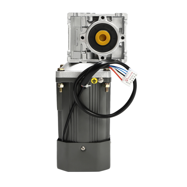 Schneckengetriebemotor, 120 W, Wechselstrom, 220 V, industrieller Drehzahlregler Schneckengetriebemotor, 120 W, Wechselstrom, 220 V, industrieller Drehzahlregler