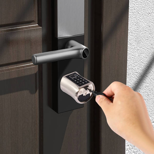 Smartes Türschloss, Zylindertürschloss, mit Fingerabdruckerkennung, Passwort, Schlüsseln und APP