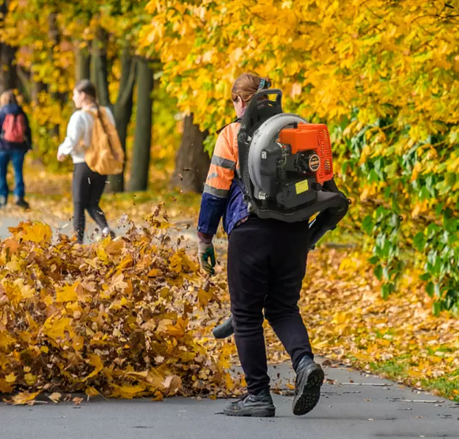 2 Takt 3,6PS 65CC Benzin Laubsauger Laubbläser Gebläse Laubgebläser Blasgerät