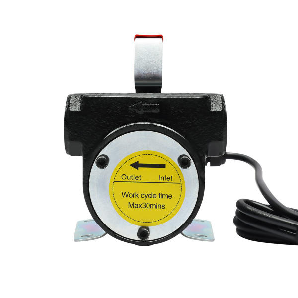 12V Selbstansaugende Dieselpume Heizölpumpe Ölpumpe Automatik Pistole mit PVC