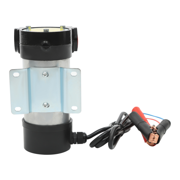 12V 175W 50L/min Dieselpumpe Selbstansaugend mit Zapfpistole