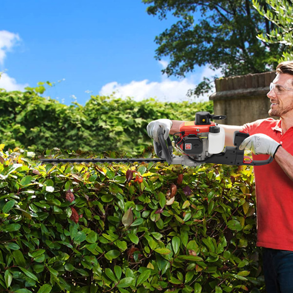 Trimmer, Heckenschere, Heckenschere mit Doppelschneide